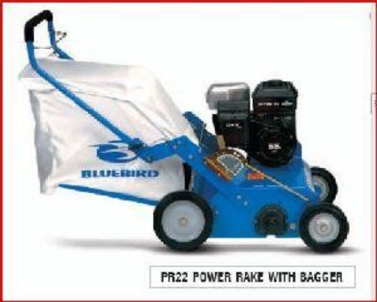 Picture of POWER RAKE - BLUEBIRD