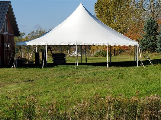 Picture of 40 x 40 WHITE TENT